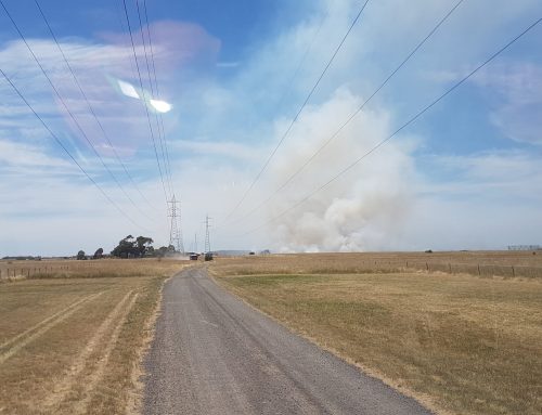 FRV and CFA work together at Truganina grassfire